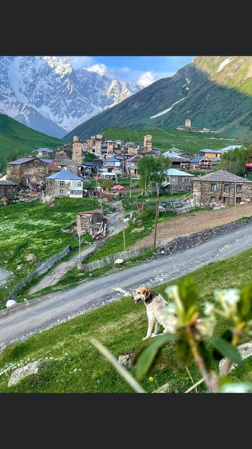 Chvibiani Guesthouse & Bar Ushguli Dış mekan fotoğraf