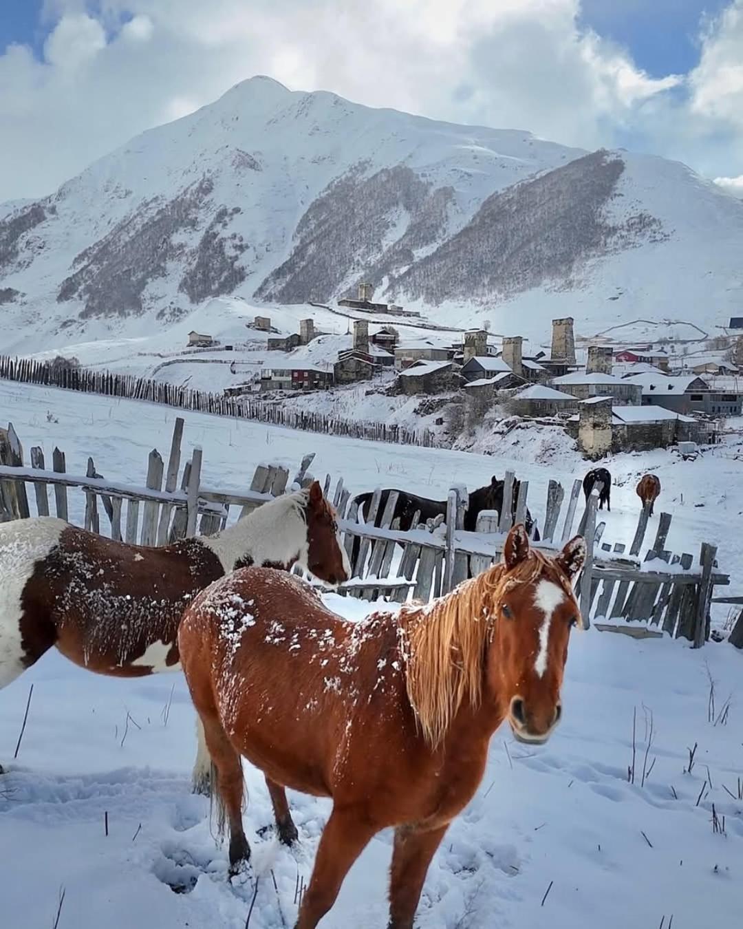 Chvibiani Guesthouse & Bar Ushguli Dış mekan fotoğraf