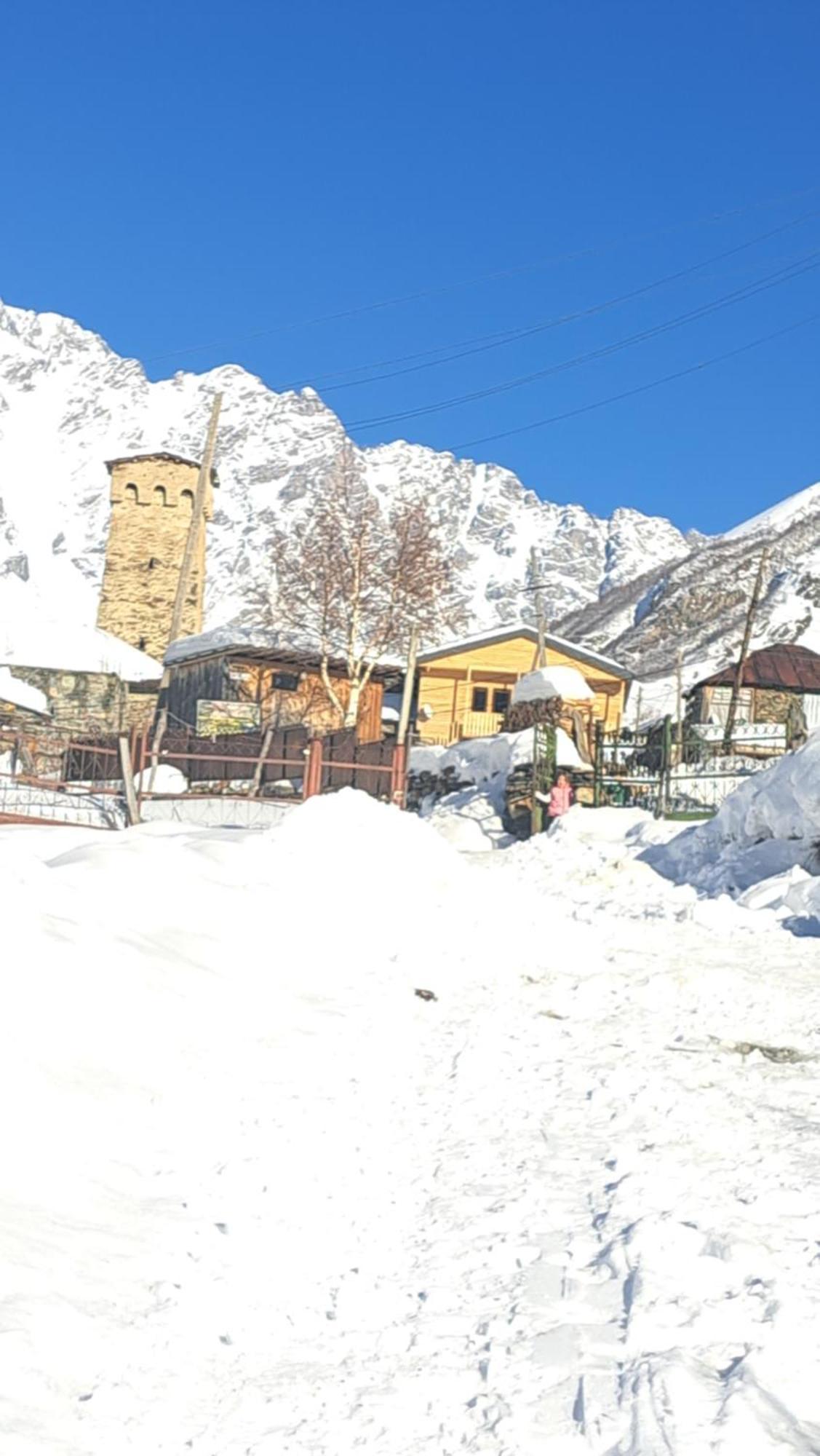 Chvibiani Guesthouse & Bar Ushguli Dış mekan fotoğraf