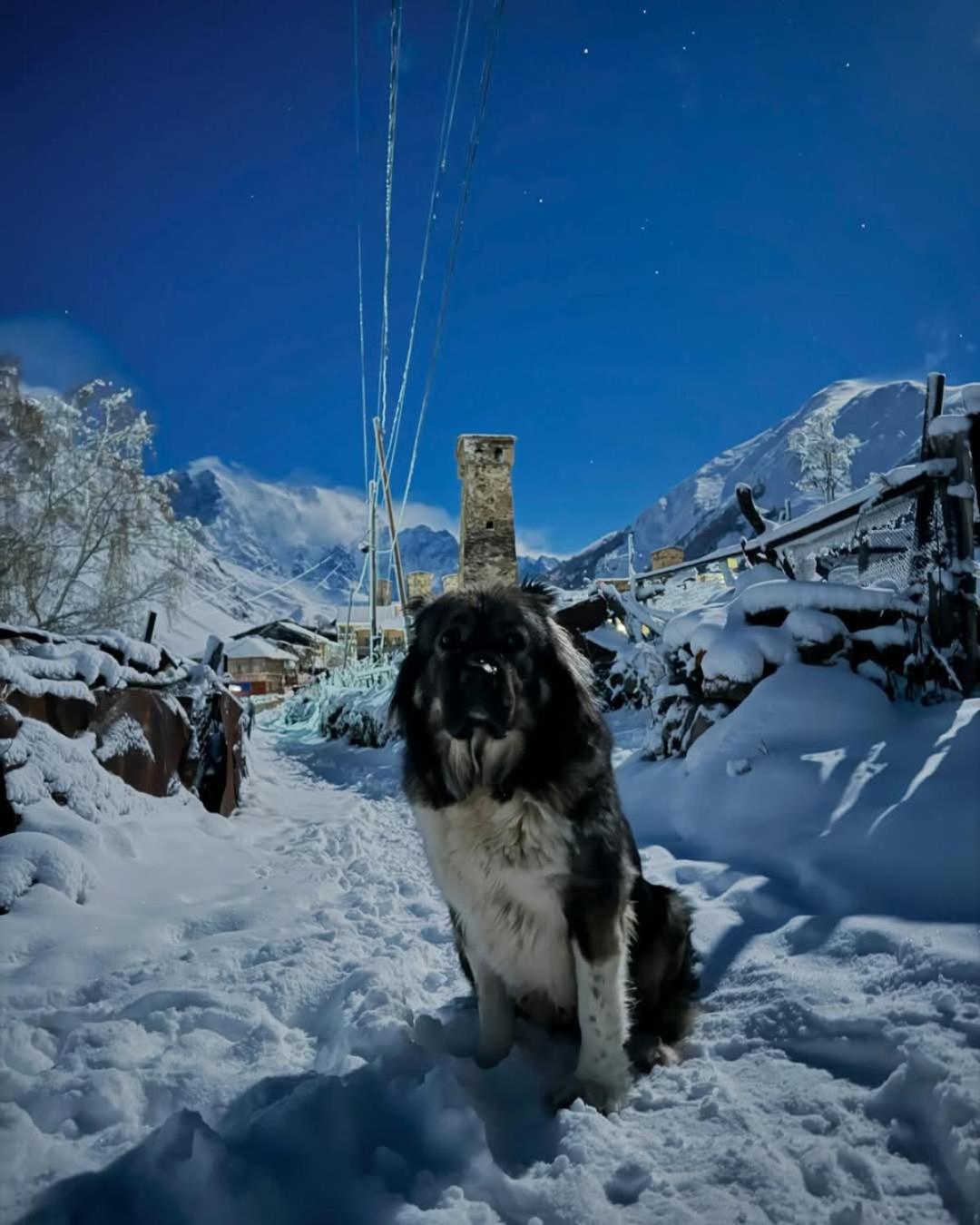 Chvibiani Guesthouse & Bar Ushguli Dış mekan fotoğraf